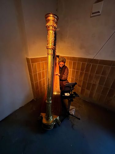 a harp player playing 