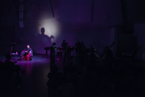 a moment from the symposium on Manos Tsangaris and his music theater in Dresden 2014