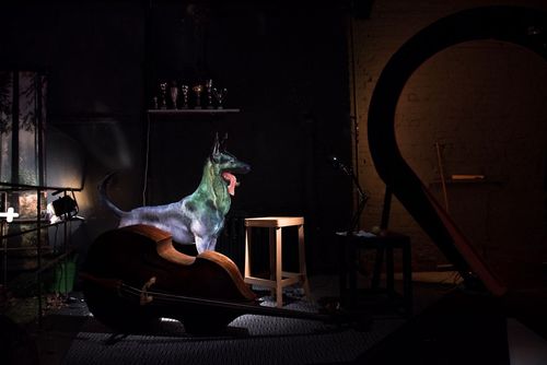 picture showing a moment of 