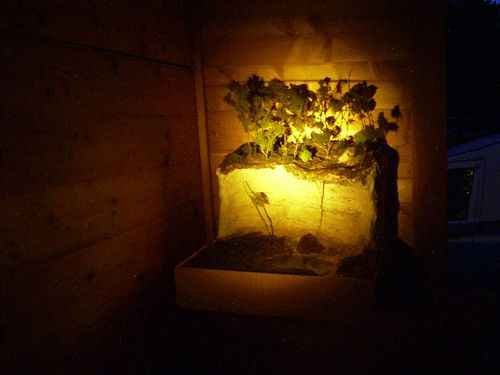 picture of Manos Tsangaris' installation “Kiosk” in Rümlingen