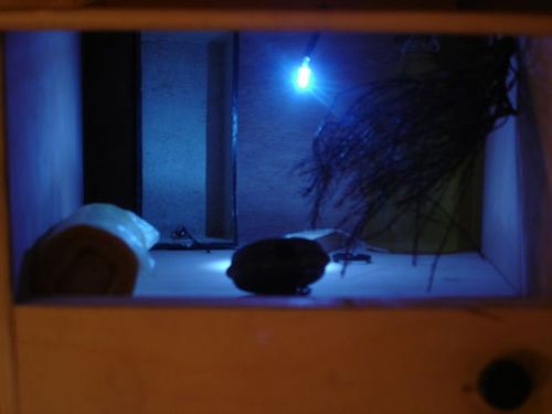 a picture showing a moment from “Drei Räume”