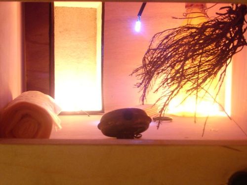 a picture showing a moment from “Drei Räume”